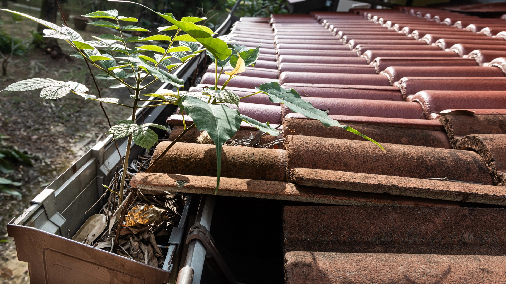 How to Stop Gutters from Rusting
